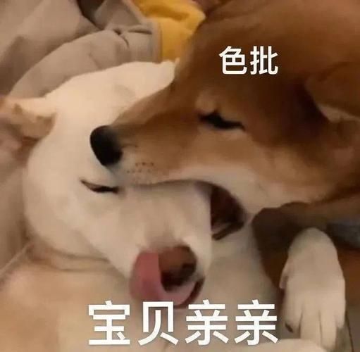 qq表情符号大全免费下载 聊天斗图不再词穷