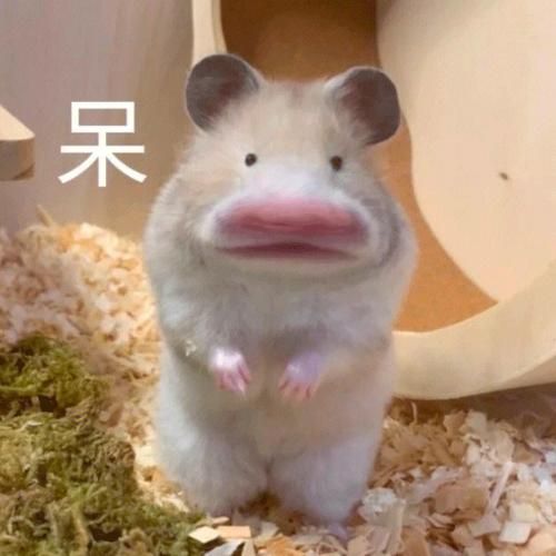 qq表情符号大全免费下载 聊天斗图不再词穷