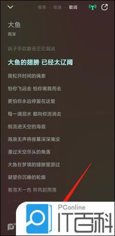 qq音乐歌词锁定失效怎么办 快速解决方法分享