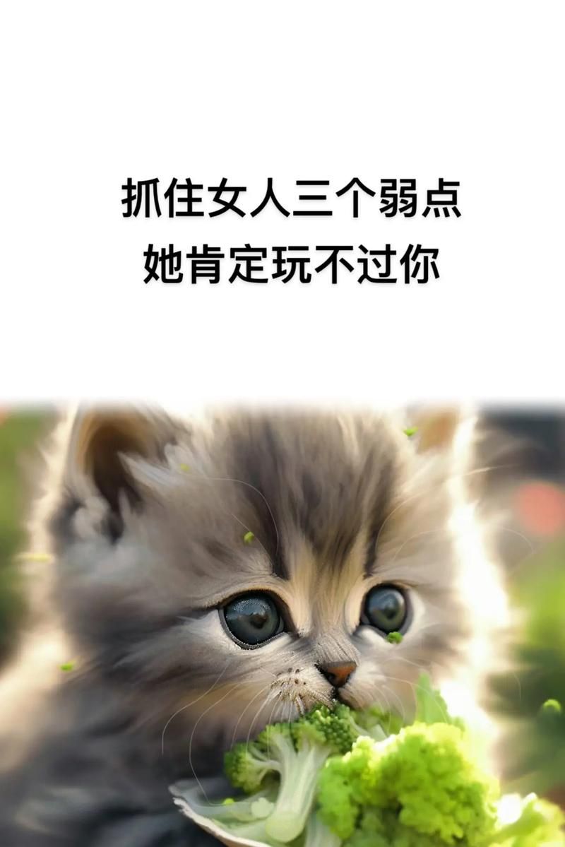 你和她和她的恋情如何面对复杂感情中的选择难题