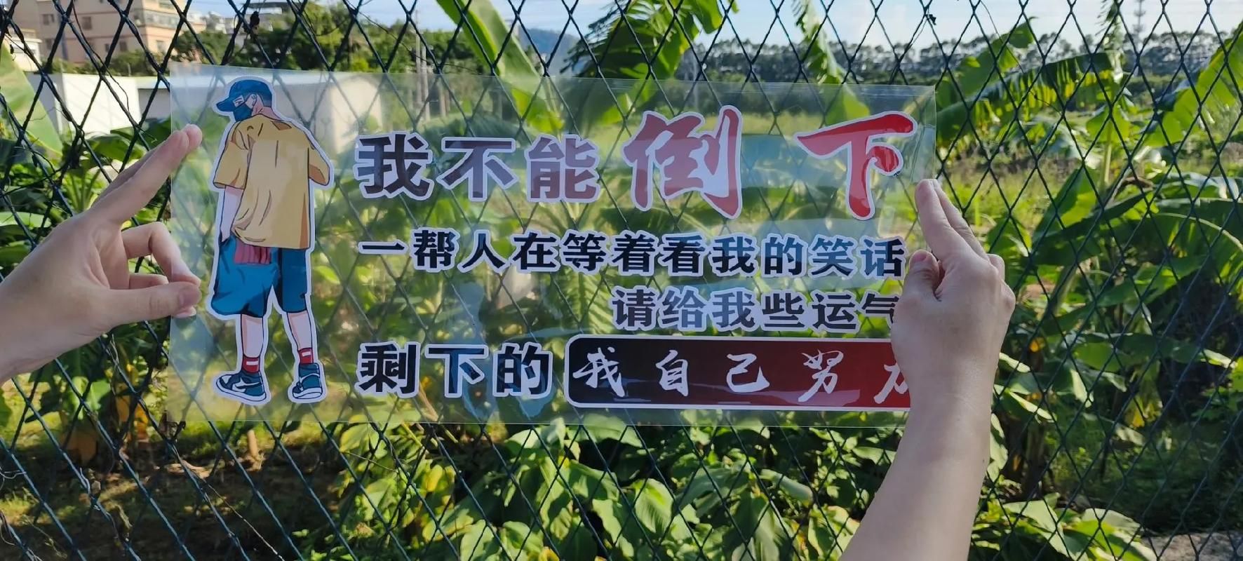 俗话说人往高处走为什么努力不一定能成功