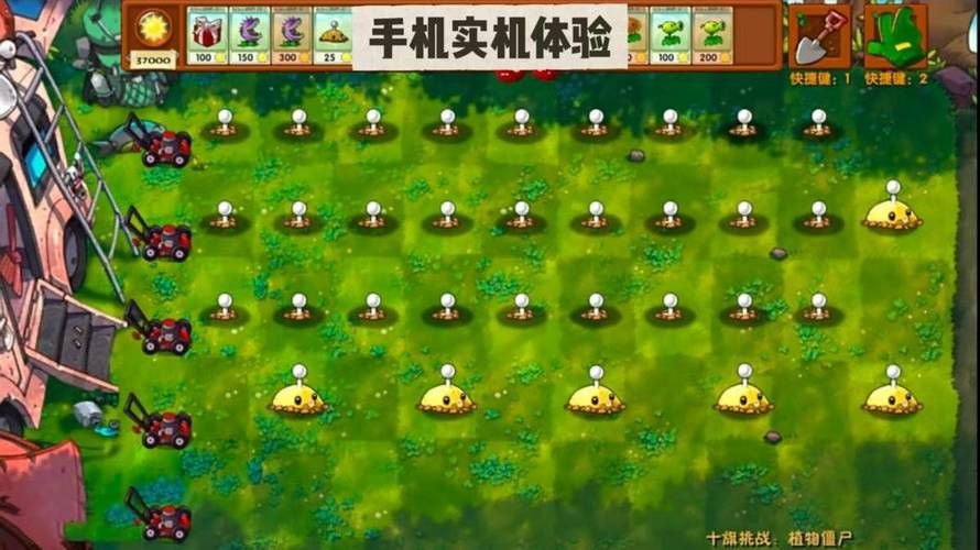 3366小游戏首页推荐 最新好玩游戏一网打尽
