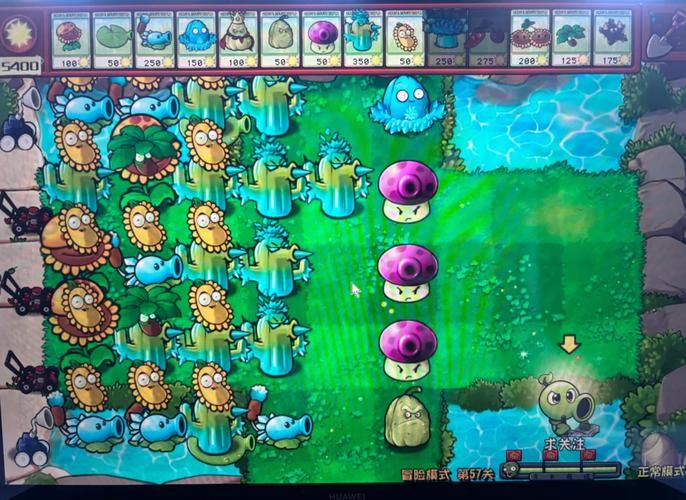 360植物大战僵尸通关技巧和关卡攻略合集