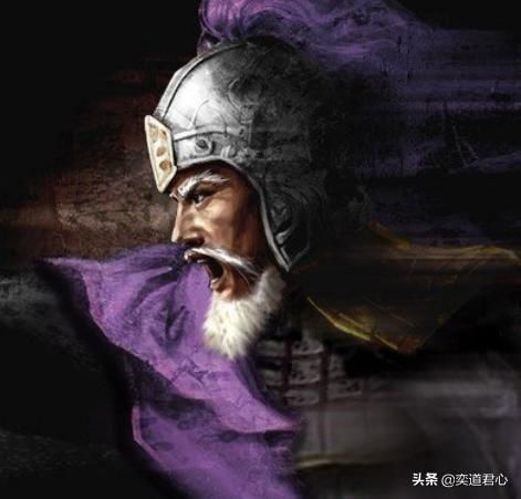 三国志11武将严颜为什么强（蜀汉严颜属性特技详细介绍）