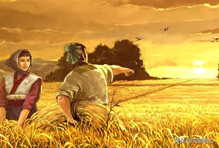 三国志11屯田特技武将有哪些（四个屯田武将初始属性一览）