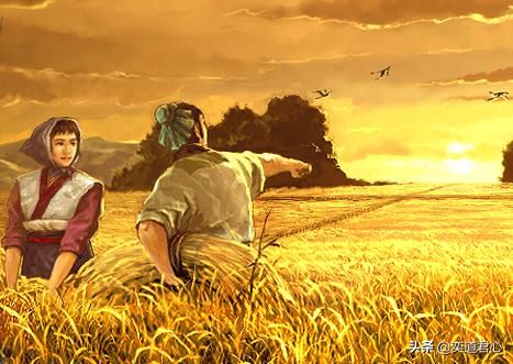 三国志11：将士们面对漫长又枯燥的行军如何解决自己的生理需求？