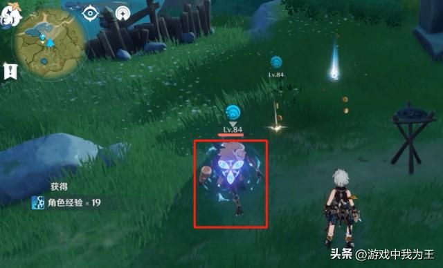 原神玩家分为四种,看看他们最注重的是什么?