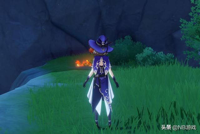 原神狂刷鸟蛋和松茸,一小时500产出,烹饪食材暴击攻击大增