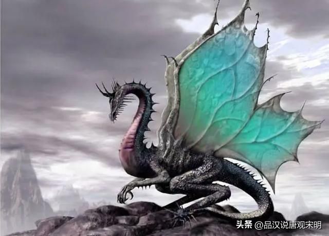 十五种龙族兵种实力揭秘:究竟有哪些?