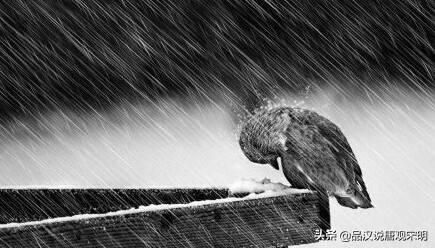 中国青年热衷于大话西游:悟空成爱情圣经