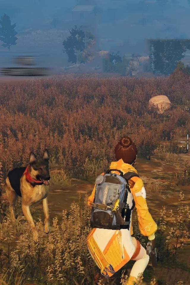 《明日之后》:势头碾压《王者荣耀》,服务器繁忙