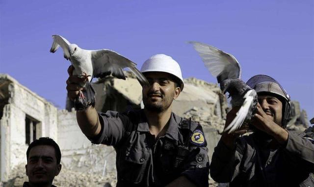 《问策兵王16》故事究竟站得住脚?揭秘了俄罗斯人的黑暗一面,也洗清了无辜者的冤屈