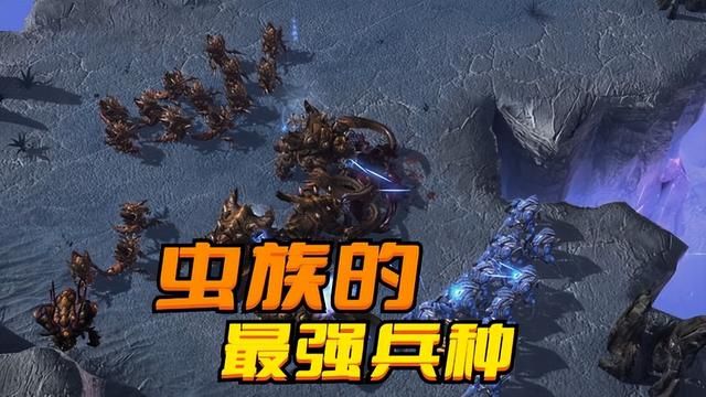 《不用科技树,低造价充场面! 星际争霸中最强虫族兵种》