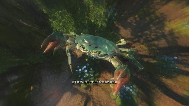 国内最贴心游戏公司,网游无商城,单机版惊现钓鱼乐趣