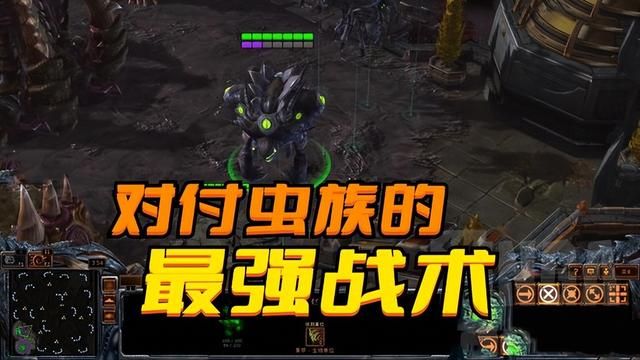 星际争霸：应对虫族的实用战术指南
