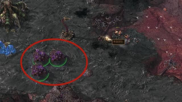 星际争霸：掘地虫的实力及逆袭价值