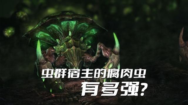 星际争霸：掘地虫的实力及逆袭价值