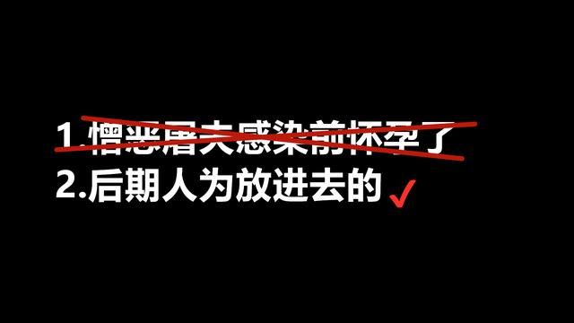 CSOL屠夫揭秘：肚中隐藏着的孩子揭示了什么？