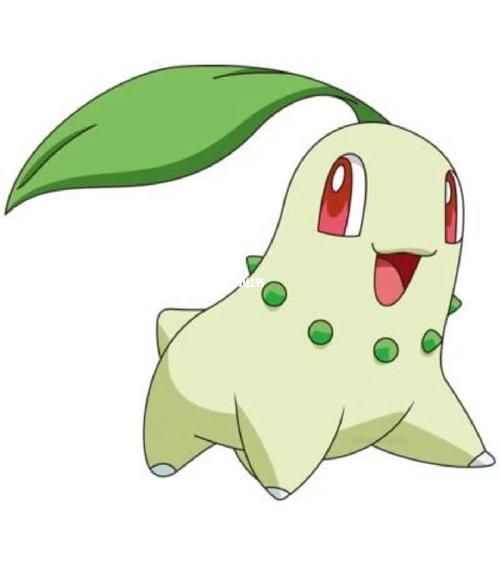 菊草叶进化进化后有什么变化