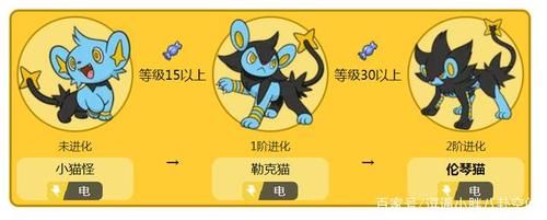 伦琴猫性格配招  哪个更适合它