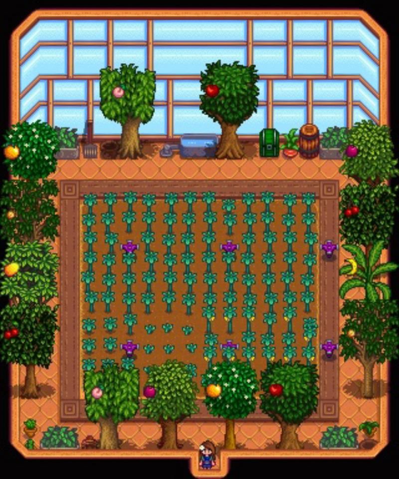 星露谷温室种什么最好还是有其他方法可以赚更多