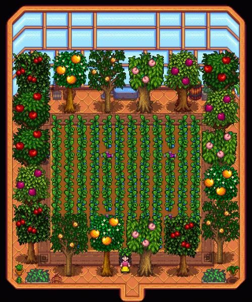 星露谷温室种什么最好还是有其他方法可以赚更多