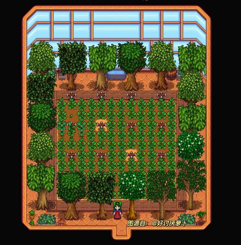 星露谷温室种什么最好还是有其他方法可以赚更多