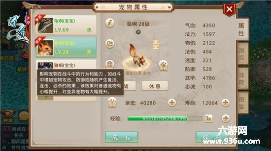 问道手游宠物亲密度怎么刷哪些方法性价比最高