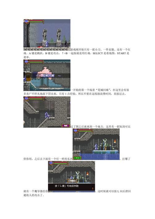 恶魔城晓月圆舞曲攻略 红魂有什么用