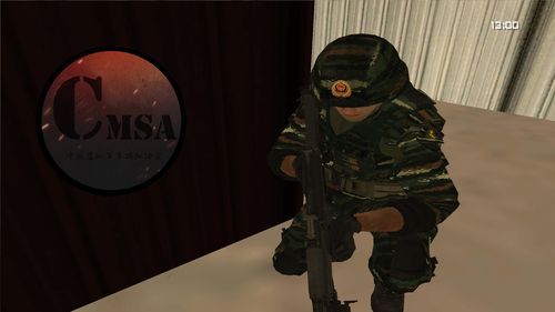 中国武警突击队游戏中国武警突击队游戏值得一试