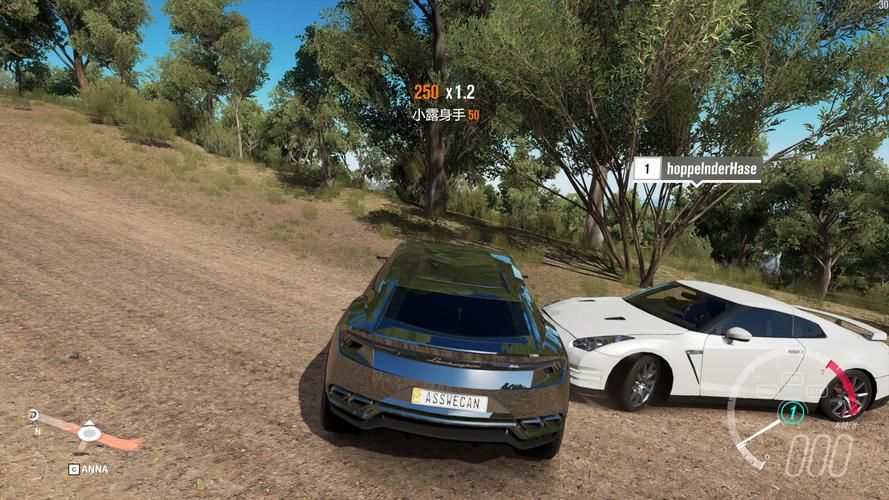 地平线3配置要求画面效果会怎么样