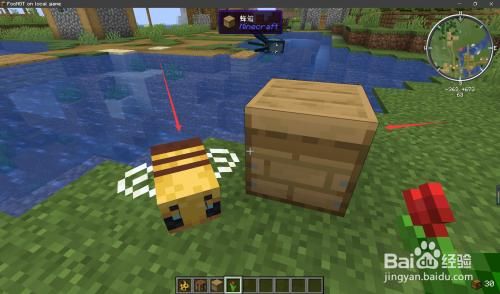 我的世界蜂箱怎么用蜜蜂怎么才能繁殖