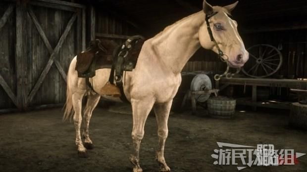 荒野大镖客2马匹你都找到并驯服了吗