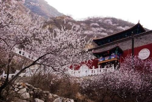 鸡鸣山在山腰建造半山娘娘庙怎么才能解锁建造条件