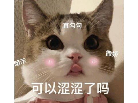 又一跟风《完蛋》新作！冲进人气排行榜前十名，但好评不到一半