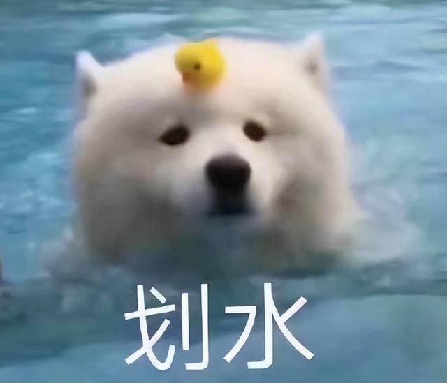 多端联动，战令付费，现在的MMO新游为啥开始主动“掉价”？