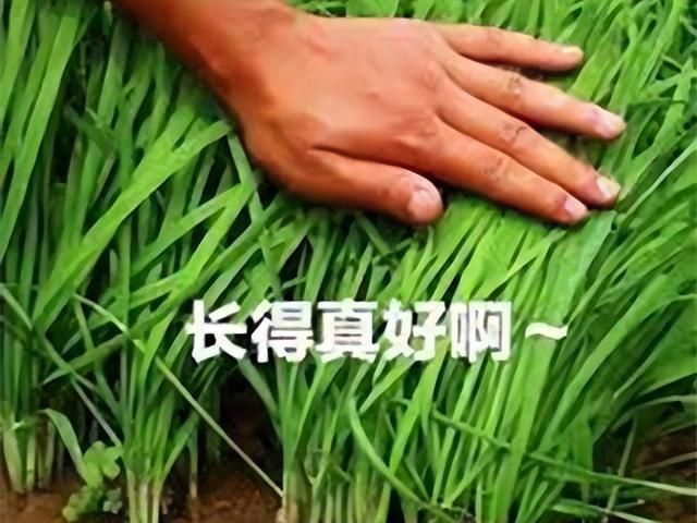 腾讯新作背刺翻车？官群刚教玩家去玩国际服，第二天就锁IP？
