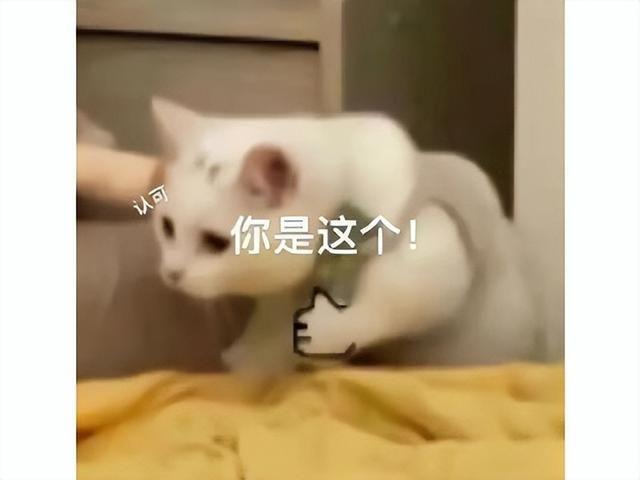 8年14亿打造的游戏,登顶销量榜和热门榜,玩家却吐槽落后时代?