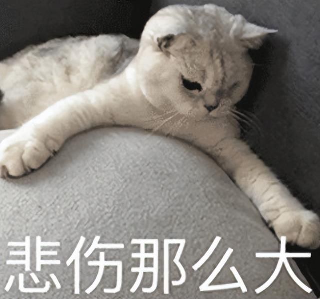 十四年前国游一哥，如今却被韩国公司收购？细数九城代理牛叉游戏