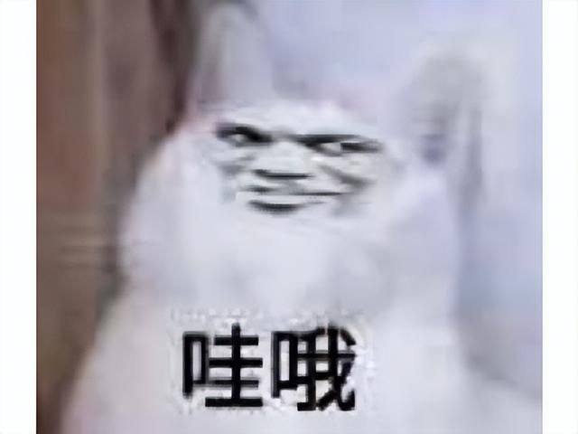 完美《诛仙2》开测，官方说回归初心，网友：女儿美但优化太差