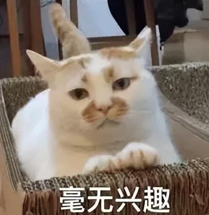 本周诸多爆款新游上线！《黑神话：悟空》首次线下试玩引躁动