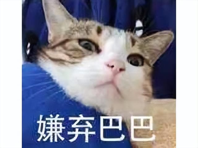 暴雪只能靠魔兽了？嘉年华国内氛围提前结束，网友吐槽暗黑4抄3