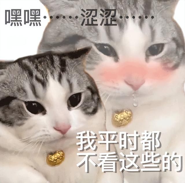 DNF厂商新作，一个女角色让LSP狂喜，但是改不了又肝又氪的泡菜味