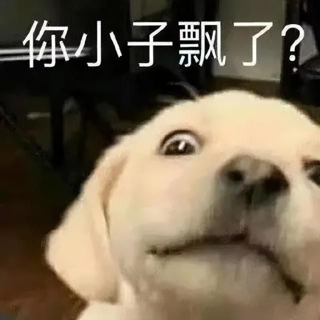 腾讯遭背刺？代工游戏太火爆被盯上，老外自己单干却做了个盗版