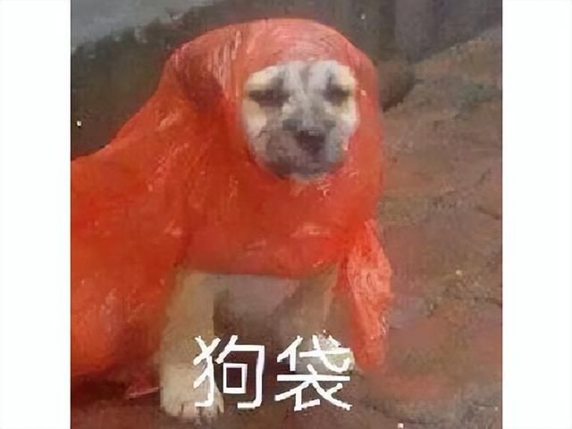 老外也搞这一套？赚了77亿的好莱坞IP，改成手游坚挺4年停运了