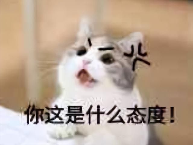 网易也救不过来？DNF挑战者纷纷停运凉凉！24上半年关服游戏盘点