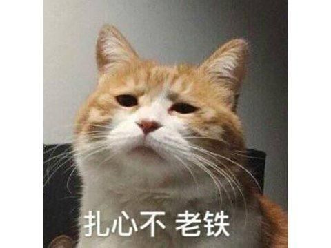 硬核厂商对刚中国玩家,谁刷差评直接封号,5天被刷差评过万