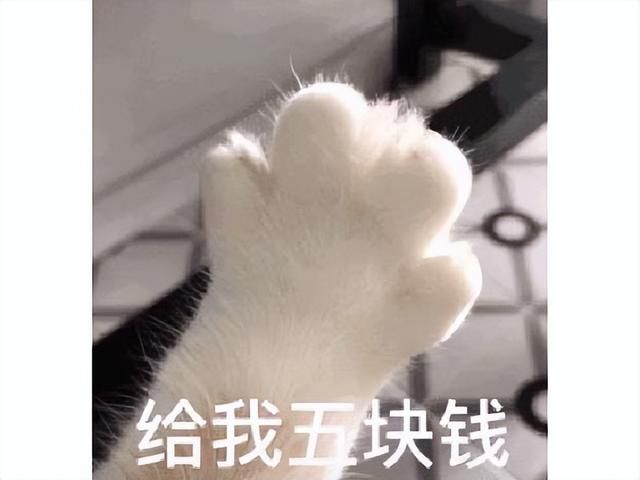 世嘉新作售价近两百,五合一肉鸽缝合怪,玩家吐槽不如抢运钞车