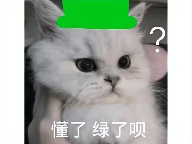 逆天!电竞女主播出轨千万粉丝,游戏官方给500万玩家戴绿帽