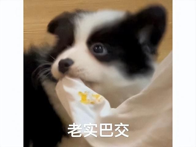 顶级折磨多次崩溃！什么四人坐牢捆绑PLAY游戏，玩到血压升高！